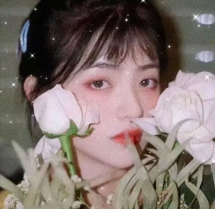 铜头铁罗汉