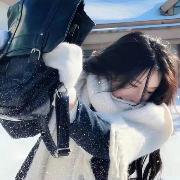 护照